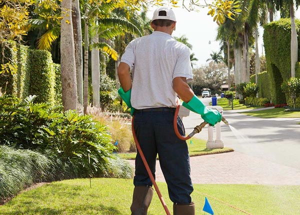 About Symsonia KY Pest Control